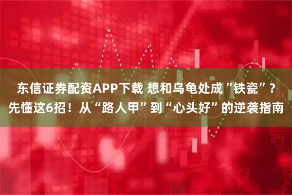 东信证券配资APP下载 想和乌龟处成“铁瓷”？先懂这6招！从“路人甲”到“心头好”的逆袭指南